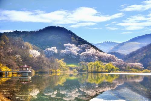 中國環(huán)保展 | 持續(xù)發(fā)力，全力以赴守護(hù)“蘇州藍(lán)”！